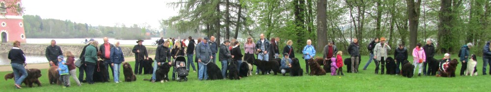 Deutscher Neufundländer-Klub e.V., Landesgruppe Sachsen